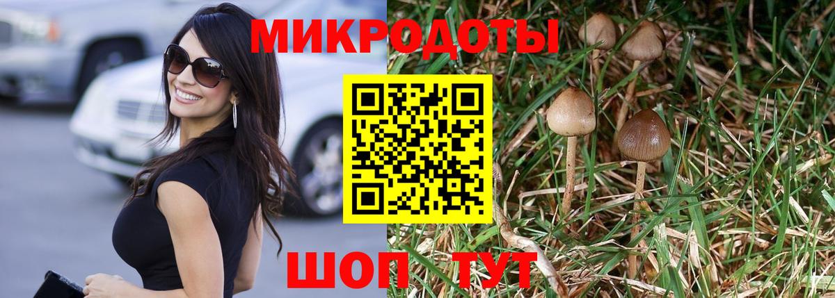 Псилоцибиновые грибы Psilocybe  Галлюциногенные грибы MAGIC MUSHROOMS  Вход с VPN  Жуковский 